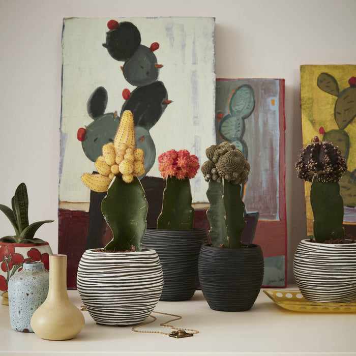 Capi Europe Indoor Nature Rib Vaas Rond Bloempot 17 cm