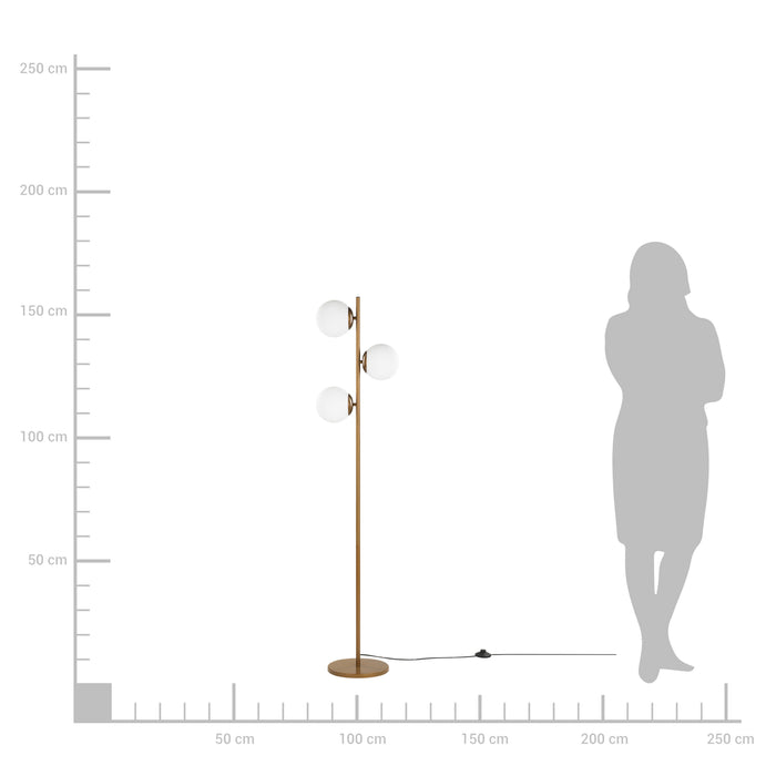 97c5bb67-d4ae-4b9d-a36e-688d3643d9ba-afbeelding4.jpg (2805349)