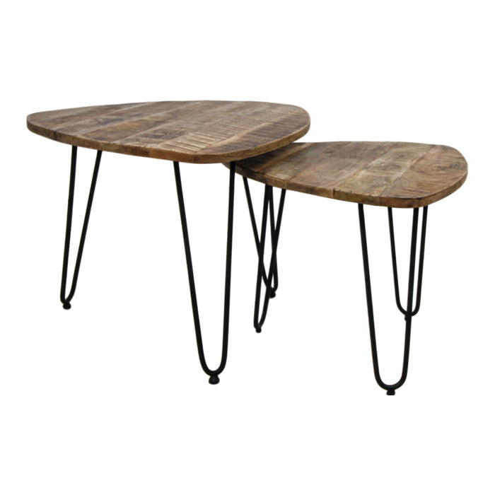 HSM Collection Dexter Salontafel Set van 2