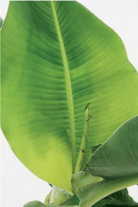 add65c55-9fd5-4487-8255-4d240c7ffe9e-sfeerbeeld.jpg (2837551)