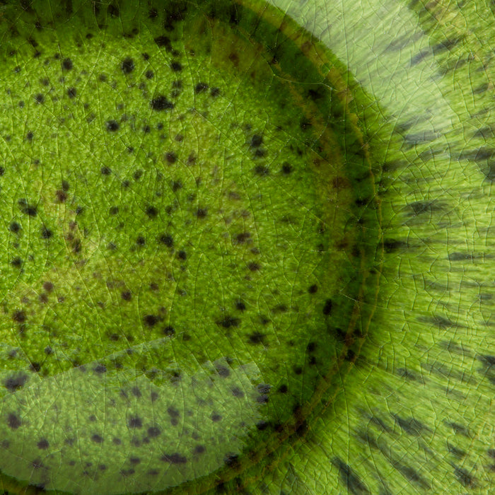 HKliving The Emeralds Dinerbord Ø 27,3 cm - Set van 2