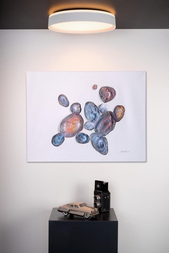 b251ed2c-59f7-4427-9bb0-b0269473cd65-afbeelding4.jpg (2868423)