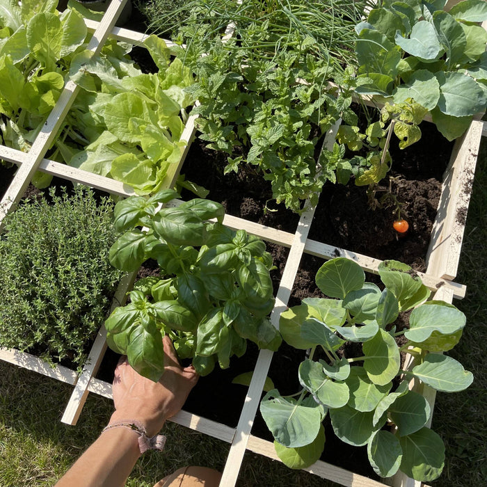 sweeek - Moestuinbak 90x90cm