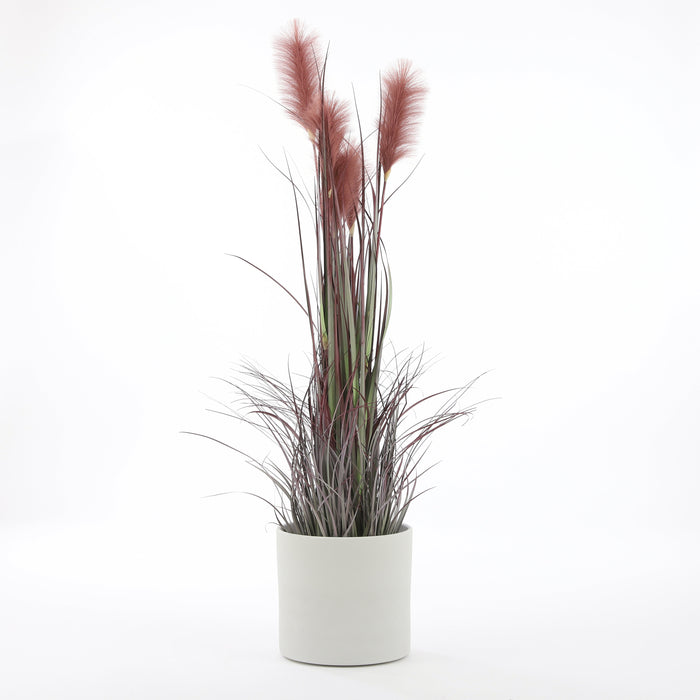 33ce9ac7-f870-42f9-b06b-9f256b1c91e3-afbeelding5.jpg (2891779)