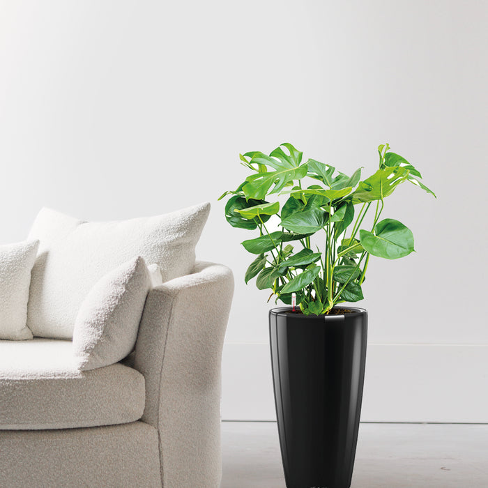 83cb3ad2-a9b2-47d7-9427-15bbbd6de0c9-afbeelding3.jpg (2891994)