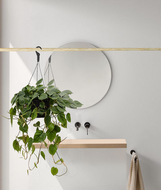 Fleurdirect Philodendron Scandens
