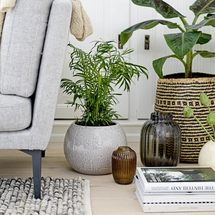 228600-x5.jpg (2923239)