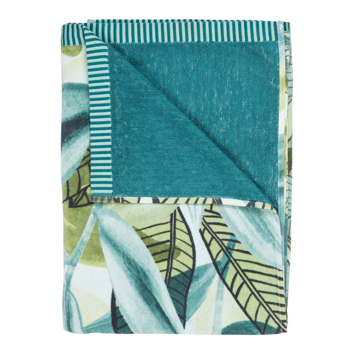 312604-x02.jpg (2937722)