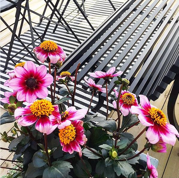 Fermob Louisiane Bank 150 cm - 2-zits