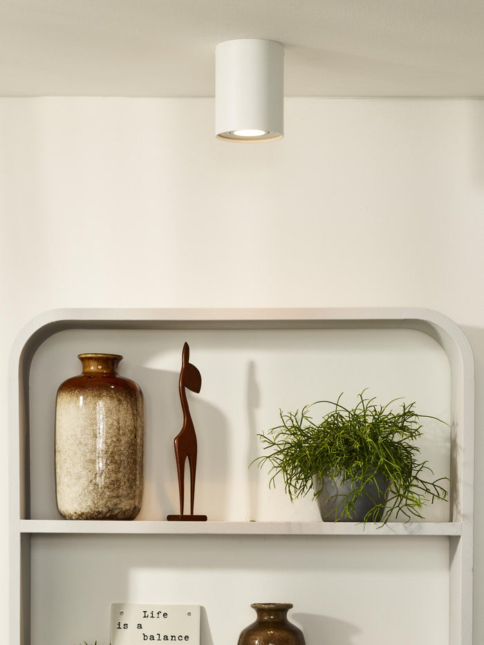 366d6a4b-721e-43e8-860f-2ff3bee2e0df-afbeelding4.jpg (2960524)