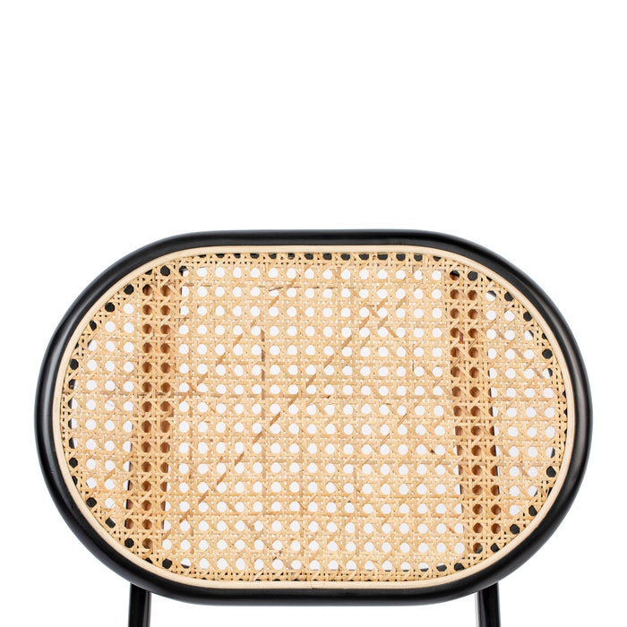 303613-x08.jpg (2963219)