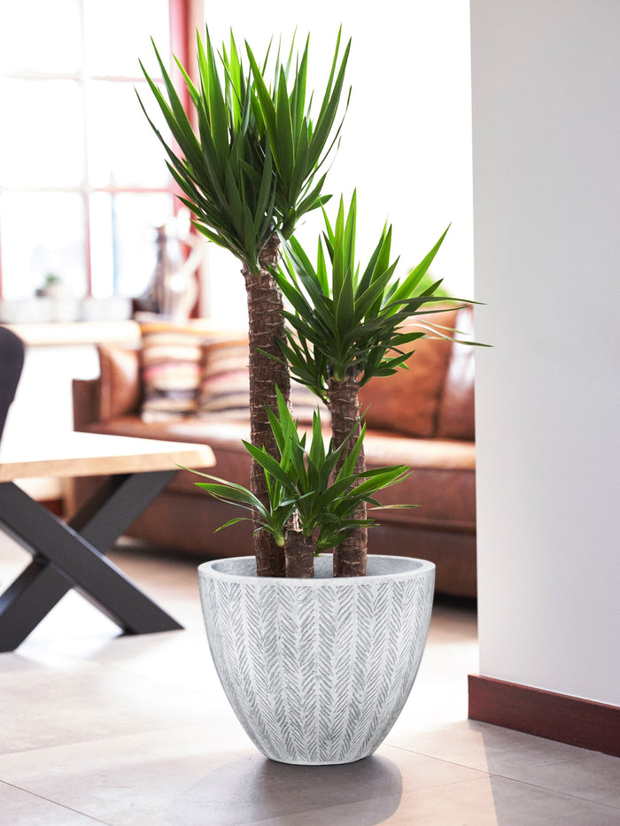 MA'AM Ivy bloempot D30,0xH24,5