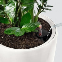 Lechuza Lepelplant in Zelfwatergevende Classico