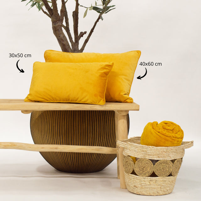 7ac7fc03-6b7c-4371-9184-86768a393c3b-afbeelding5.jpg (2986482)