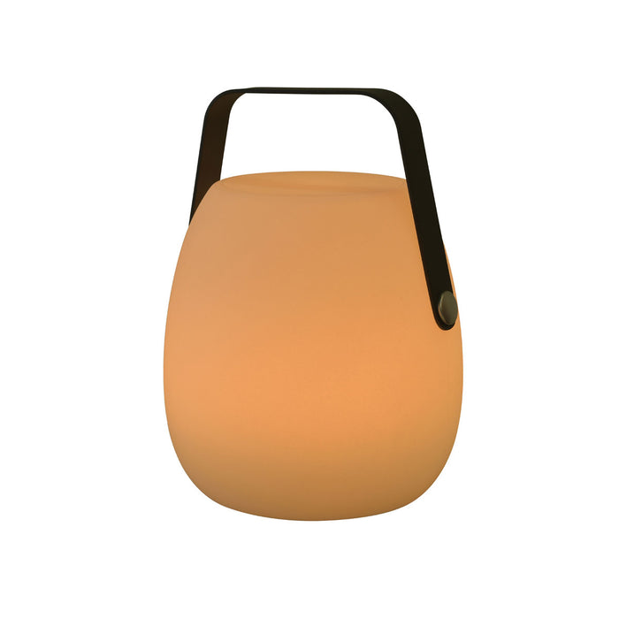 Garden Impressions Egg verlichting H23cm antraciet