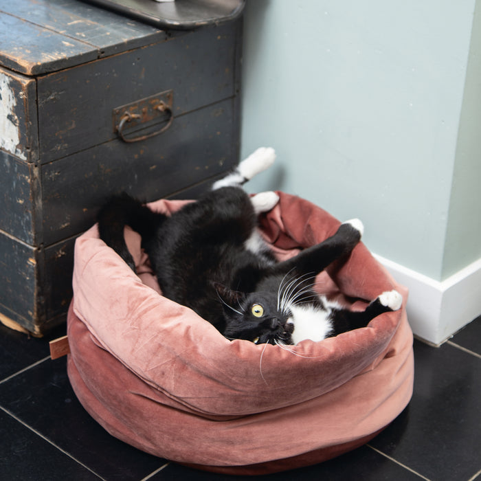 Designed By Lotte Fluco Kattenmand