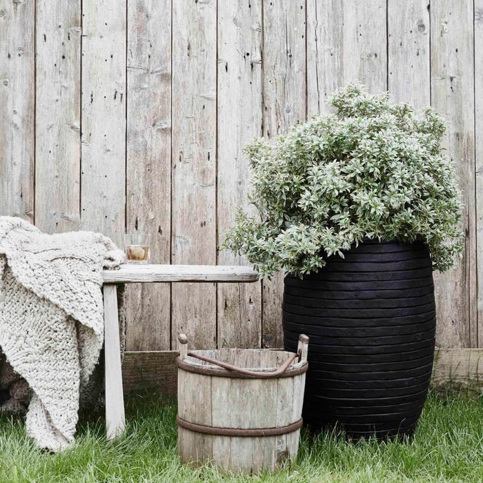 Capi Bloempot Nature Row elegant Deluxe 40x60 cm zwart PKBLRO1131