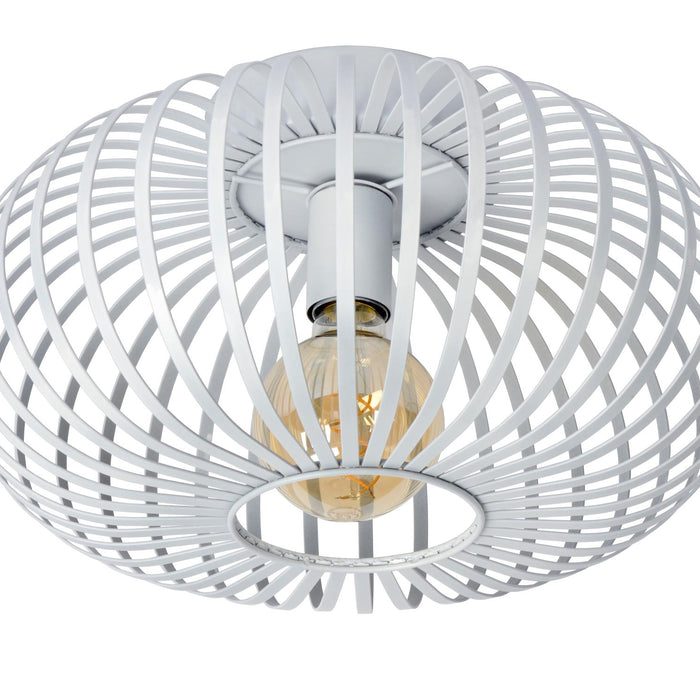 265e6a2d-400f-41c5-8298-1b361966f132-afbeelding3.jpg (3035662)