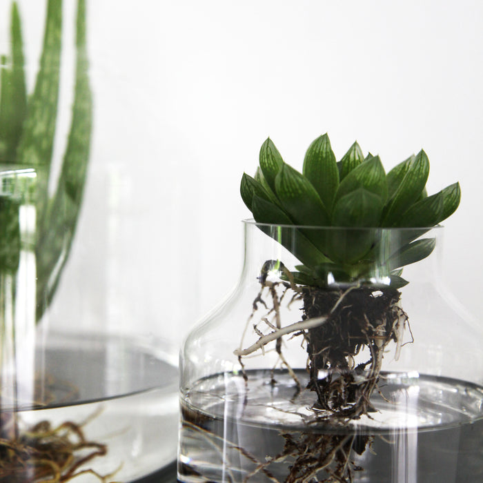 ONSHUS Vaas - Transparant