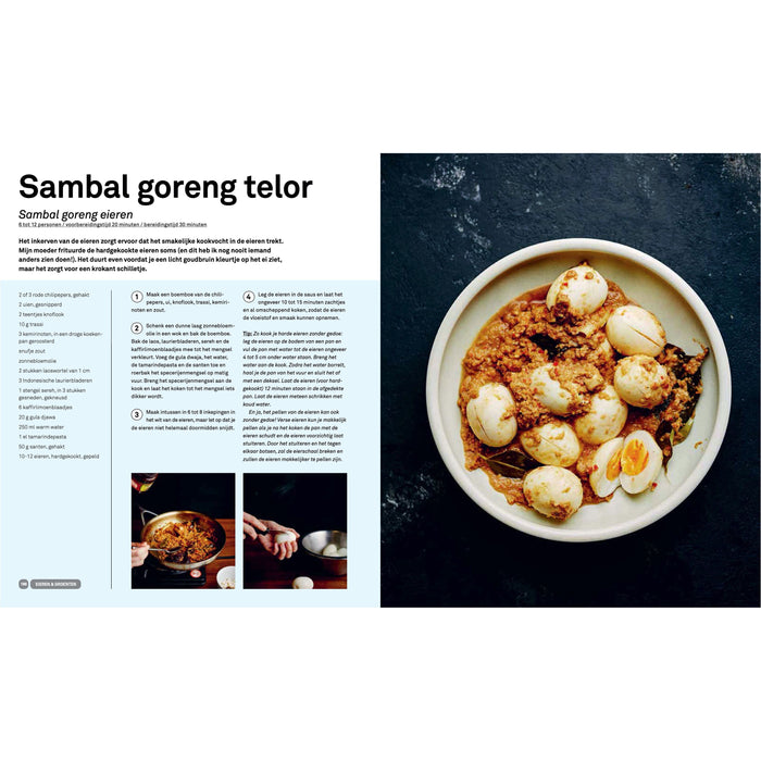 Basisboek Indonesisch - Francis Kuijk