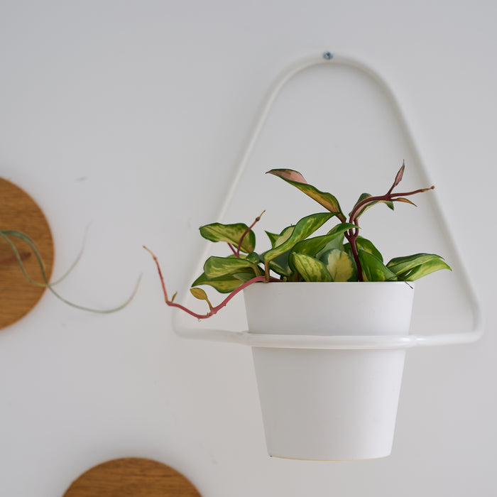 9fb9e105-8f63-4aba-bcb0-088771690a26-afbeelding5.jpg (3047334)