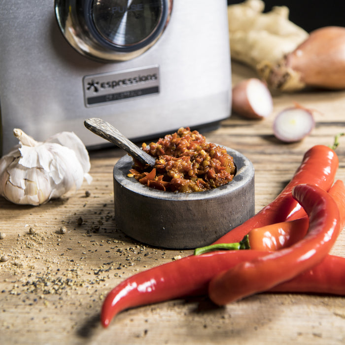 Espressions EP9800 Pro Power blender