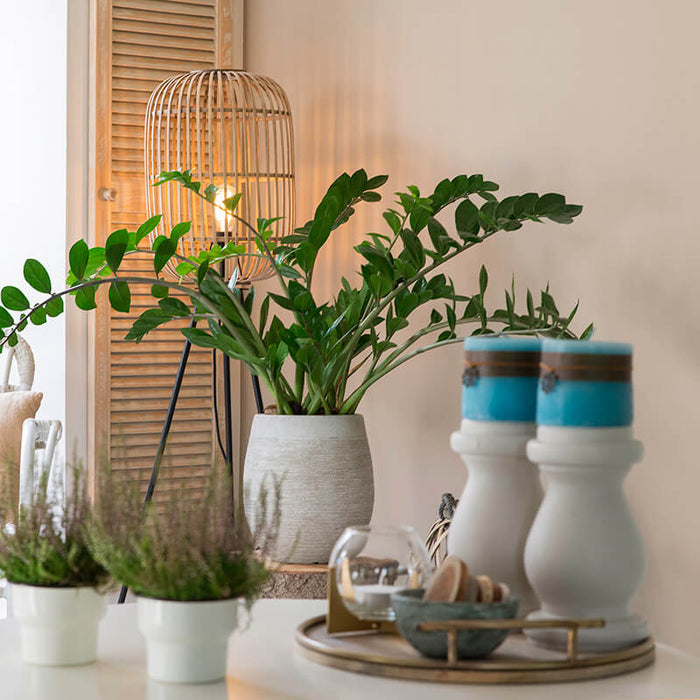 39148d8e-6cf7-4b2b-b66f-b422694f52e9-sfeerbeeld.jpg (3091001)