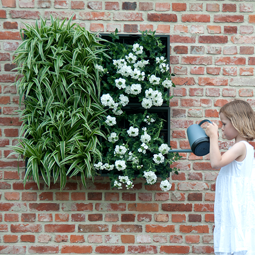D&M KAROO verticale tuin met potgrond - grijs