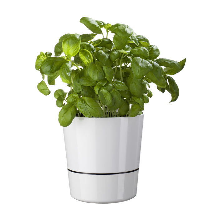 Mepal Hydro Herbs Kruidenpot