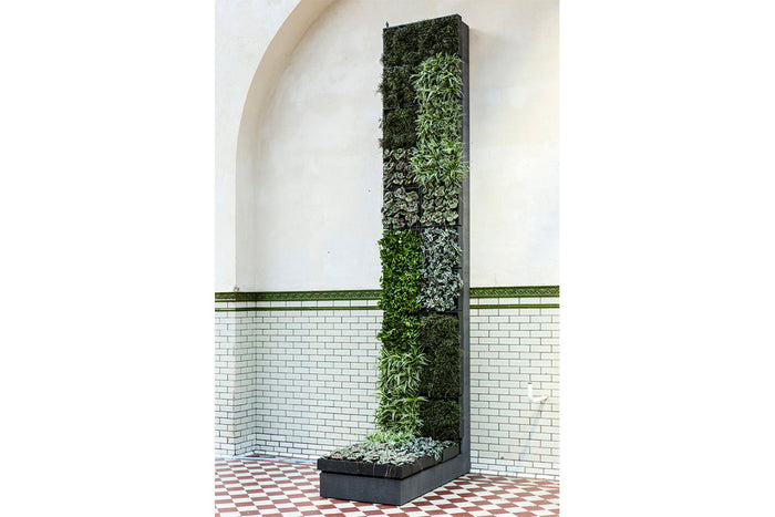 D&M KAROO verticale tuin met potgrond - wit