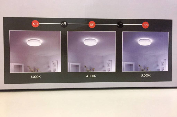 e7465b99-6fe8-487b-93a1-0ed13852d96f-afbeelding3.jpg (3107943)