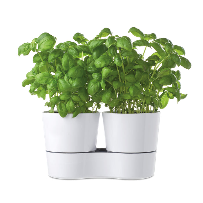 Mepal Hydro Herbs Twin Kruidenpot