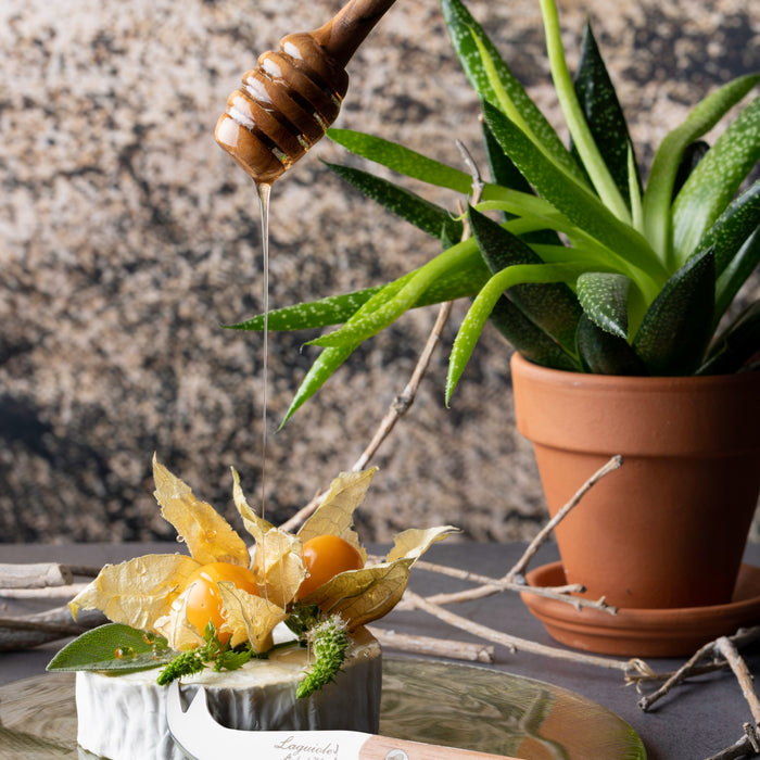 Laguiole Style de Vie Innovation Line Kaasmessenset 3-delig