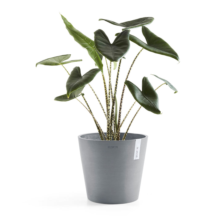 Ecopots Amsterdam 40