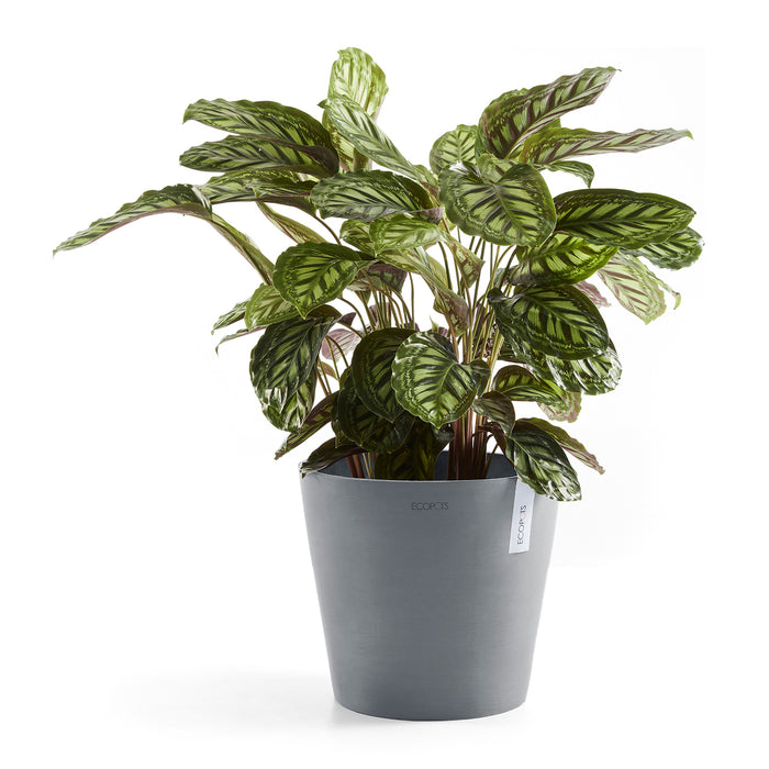 Ecopots Amsterdam 40