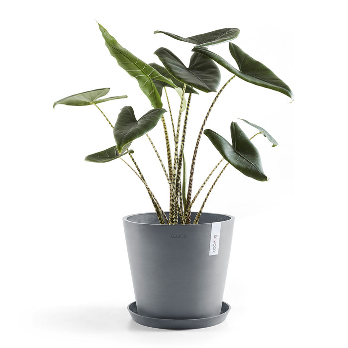 Ecopots Amsterdam 40