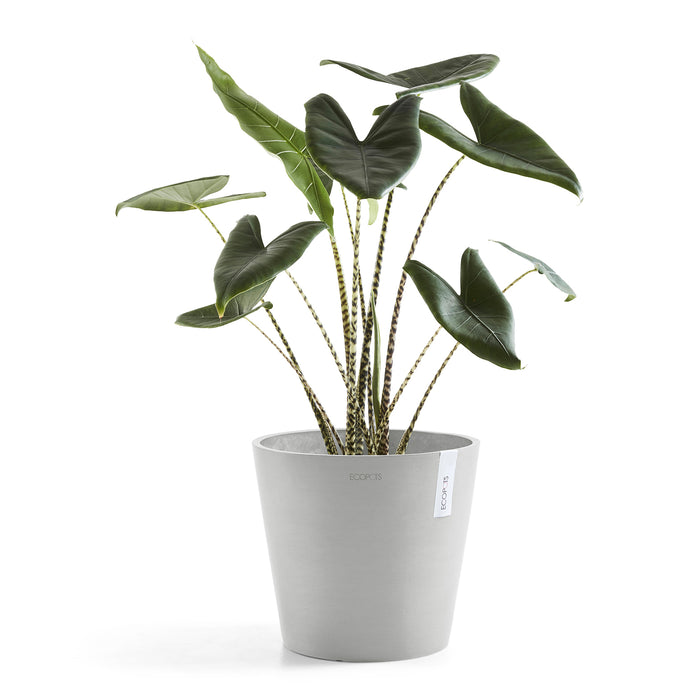 Ecopots Amsterdam 40