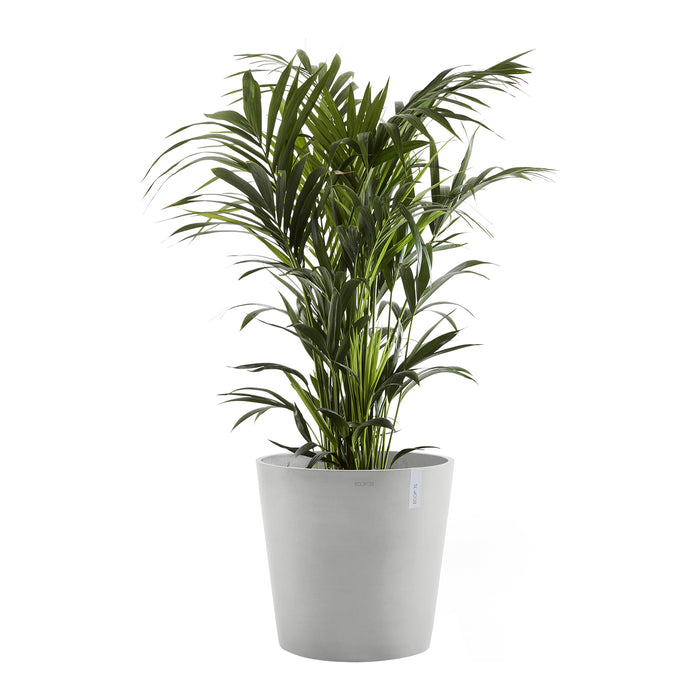 Ecopots Amsterdam 50