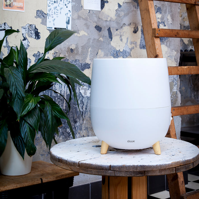 Duux Ovi Luchtbevochtiger DXHU01 - 200ml|u - PET + Nylon filter - Wit