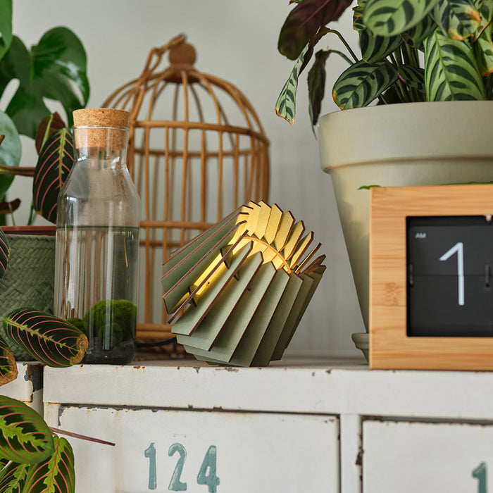 220687-x04.jpg (3165369)