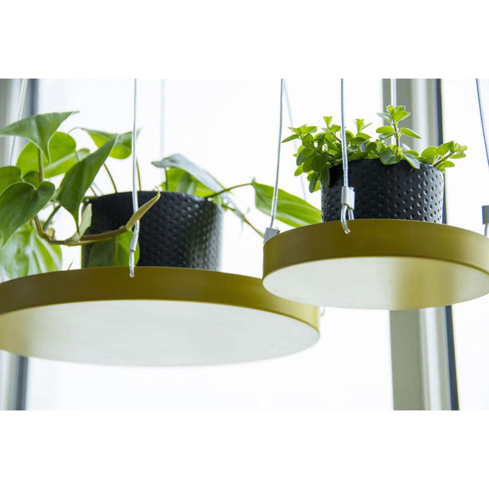 Esschert Design Decoratief blad Goud s