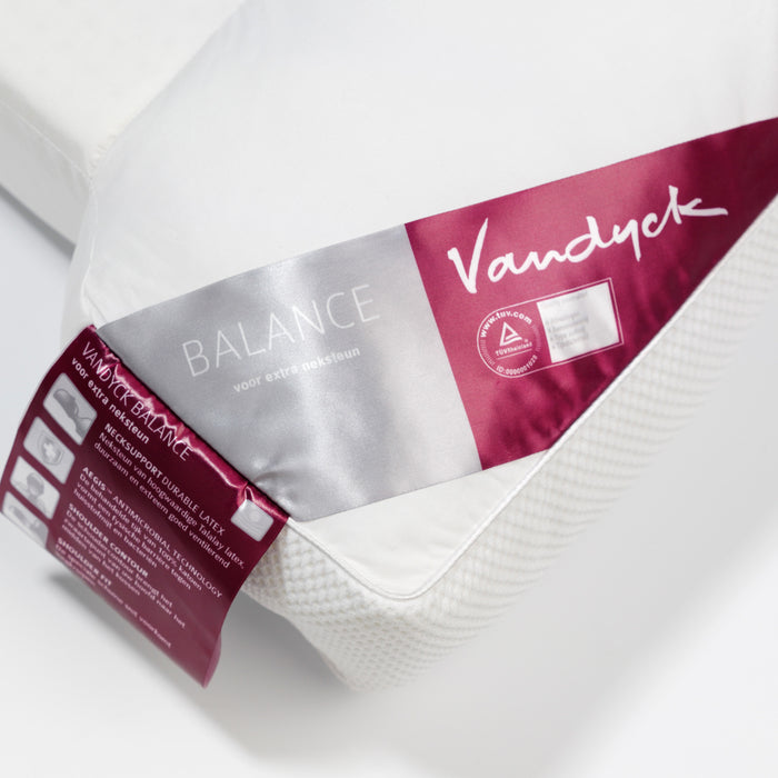 Vandyck Balance Hoofdkussen