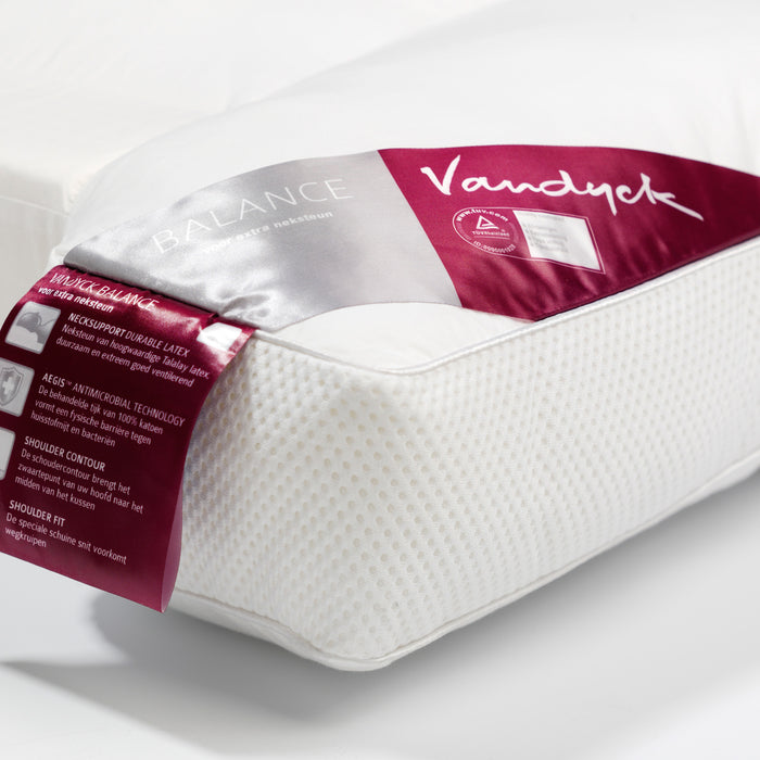 Vandyck Balance Hoofdkussen