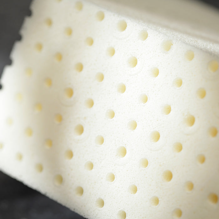 Vandyck Balance Hoofdkussen