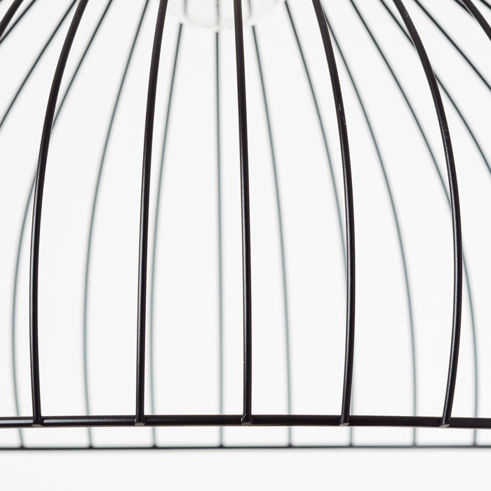 310694-x06.jpg (3187290)