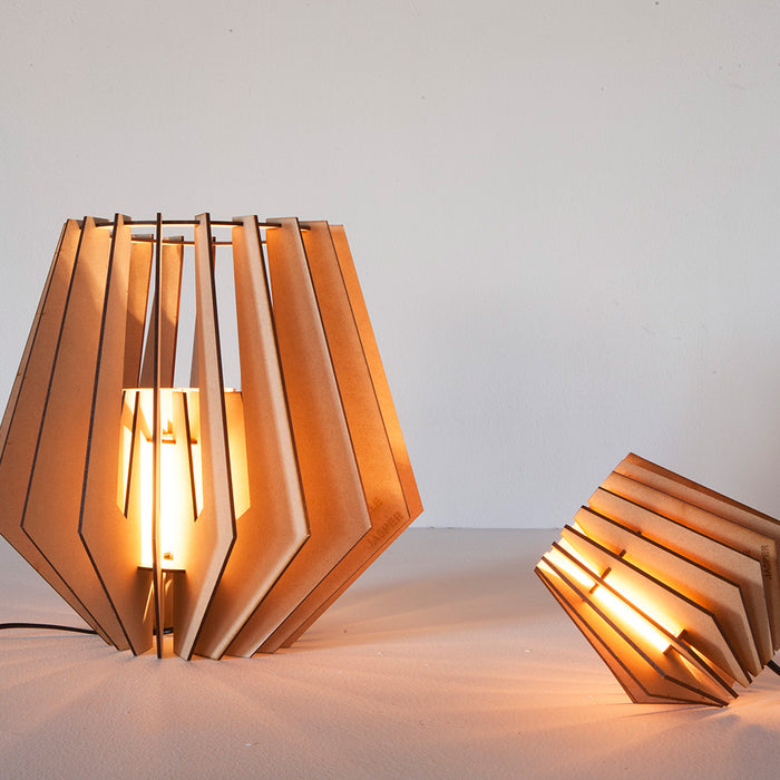 Van Tjalle en Jasper Spotnik en Minispot set