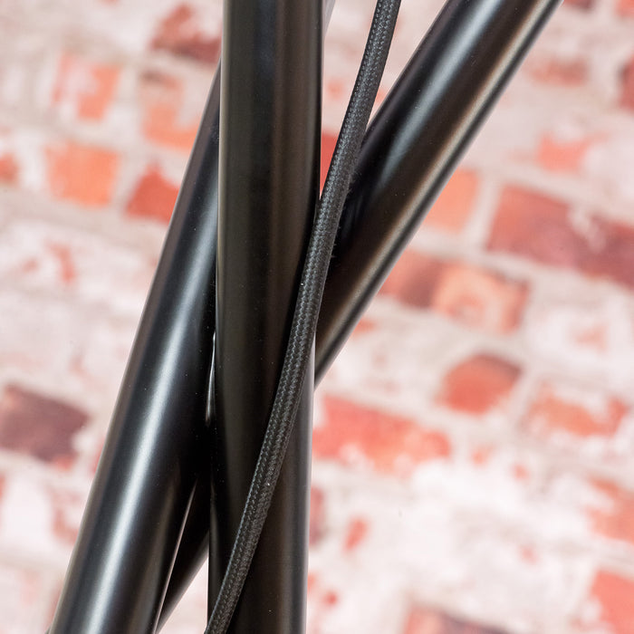 166696-x3.jpg (3190109)