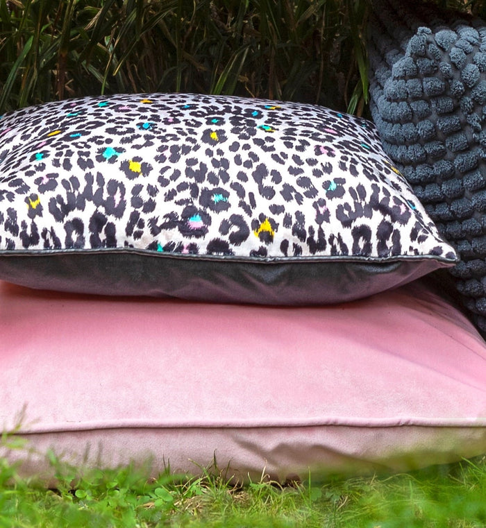 8c22dea4-ed72-4b31-9907-e9835a3dd906-afbeelding5.jpg (3193457)