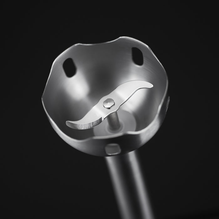 Russell Hobbs Desire Staafmixer