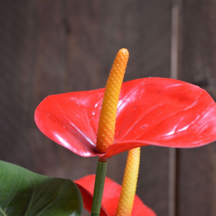 6f6b4293-d4d8-4a6a-ba0f-a60ccf4a8962-sfeerbeeld.jpg (3202663)